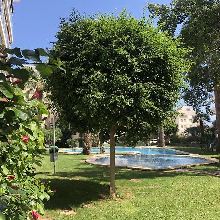Dianium A Apartment Denia Bagian luar foto